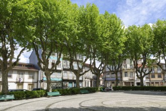 Trees around city park Jardim do Largo Condessa do Juncal, city centre of Guimaraes, northern