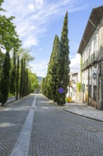 Historic buildings cypress trees street, Largo Martins Sarmento, city of Guimaraes, northern