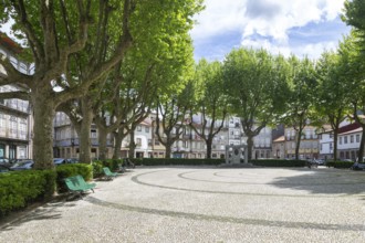 Trees around city park Jardim do Largo Condessa do Juncal, city centre of Guimaraes, northern