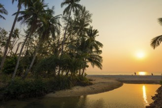 Sandy beach beach with coconut palms, Ao Phrao Beach, sunset, Koh Kood, Koh Kut, Gulf of Thailand,