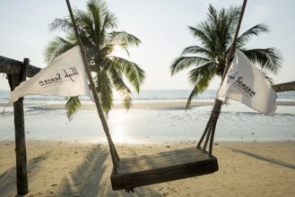 Sandy beach beach with coconut palms, Khlong Chao Beach, sunset, Koh Kood, Koh Kut, Gulf of