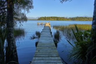 A wooden footbridge leads from a wooded shore into a calm lake, Lake Mahinapua, Ruatapu, South