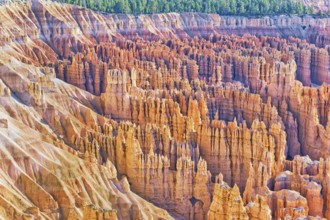 Bryce Canyon, Bryce Canyon National Park, Utah, USA, North America