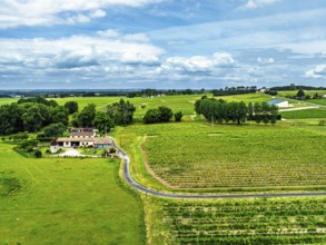Vineyards and grape fields around Bordeaux from a drone, Saint-Mariens, Gironde,