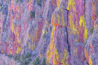 Multicoloured canyon wall, Coconino National Forest, Arizona, USA, North America