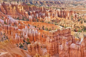 Bryce Canyon, Bryce Canyon National Park, Utah, USA, North America