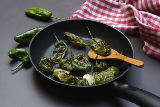 Pan-fried pimientos de padron in olive oil, roast peppers