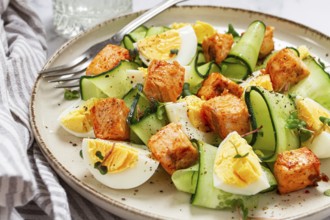Delicious salmon and egg salad served on a plate with fresh cucumber and herbs for a healthy meal