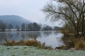 Foggy morning at the river with frosty landscape, trees and a hill in the background, Laudenbach,