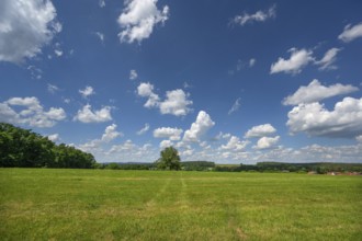 Franconian landscape with cloudy sky, Neunhof, Middle Franconia, Bavaria, Germany, Europe