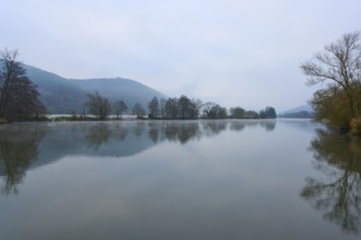 Foggy dawn over a calm river with hills and trees, Laudenbach, Main, Spessart, Odenwald, Bavaria