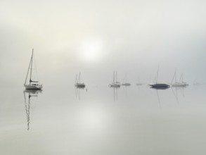 Sailboats in the fog on Lake Starnberg, Bavaria, Germany, Europe