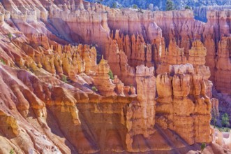 Bryce Canyon, Bryce Canyon National Park, Utah, USA, North America