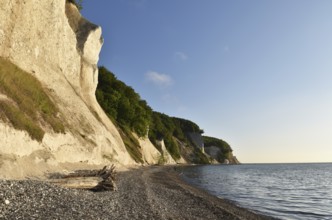 Chalk coast at Jasmund National Park on Rügen, Mecklenburg-Western Pomerania, Germany, Europe