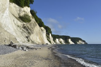 Chalk coast at Jasmund National Park on Rügen, Mecklenburg-Western Pomerania, Germany, Europe