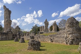 Ruins, St Edmund's Abbey, Bury St Edmunds, West Suffolk, England, Great Britain