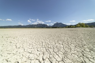 Cracked, dried out ground, waterless Forggensee in spring, behind it Tegelberg massif and Säuling,