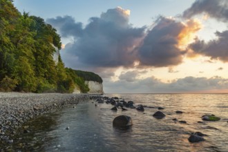 Chalk cliffs in Jasmund National Park, Sassnitz, Rügen, Mecklenburg-Western Pomerania, Germany,