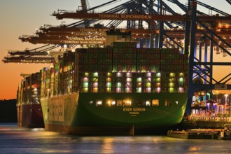 Container terminal Burchardkai with full container ship Ever Genius from Panama in the evening,