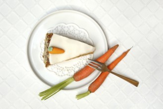 Carrot cake and carrots on a plate, carrot cake, carrot cake