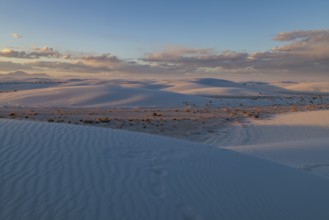 Smooth curved sand dunes in evening light at White Sands National Park in Alamogordo, New Mexico,
