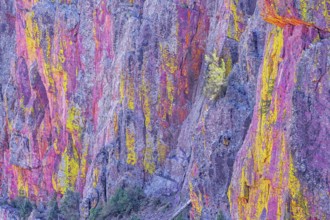Multicoloured canyon wall, Coconino National Forest, Arizona, USA, North America