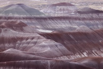 Colorful deposits of the Chinle Formation exposed at Little Painted Desert County Park near
