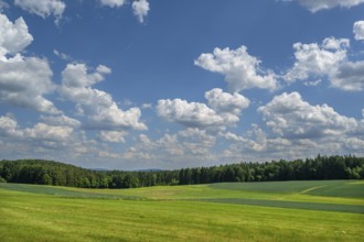 Franconian landscape with cloudy sky, Neunhof, Middle Franconia, Bavaria, Germany, Europe