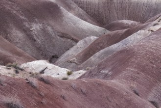 Colorful deposits of the Chinle Formation exposed at Little Painted Desert County Park near