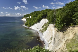 Chalk coast at Jasmund National Park on Rügen, Mecklenburg-Western Pomerania, Germany, Europe