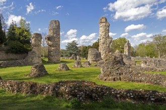 Ruins, St Edmund's Abbey, Bury St Edmunds, West Suffolk, England, Great Britain