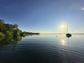 Evening atmosphere, sailing boat on Lake Starnberg, Bavaria, Germany, Europe