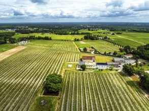Vineyards and grape fields around Bordeaux from a drone, Saint-Mariens, Gironde,
