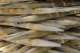 Stacked fence posts with sharpened ends. North Rhine-Westphalia, Germany, Europe