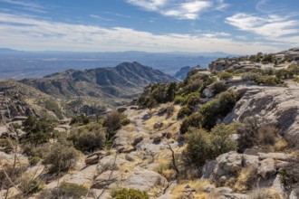 Windy Point Vista offers a view of Tucson from the Catalina Mountains along the Mt Lemmon Highway