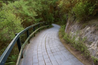 Curved stone path with railings through a green forest landscape, Wai-O-Tapu Thermal Wonderland,
