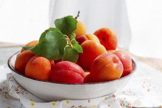 Fresh apricots in a bowl, on a bright table, natural light, top view, no people