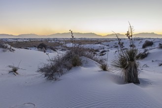 Gypsum dunefields at White Sands National Monument located within the Chihuahuan Desert and the
