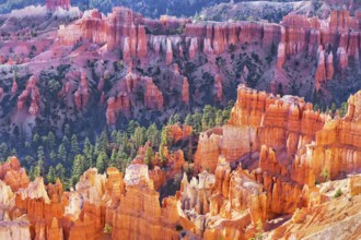 Bryce Canyon, Bryce Canyon National Park, Utah, USA, North America