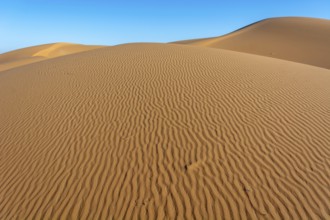 A sandy desert with a blue sky in the background. The sand is ribbed and has a slight slope.