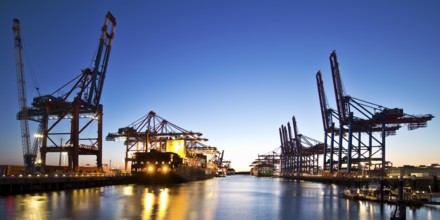 Container ships at Eurogate container terminal and Burchardkai in the evening, Port of Hamburg,