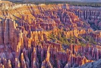 Bryce Canyon, Bryce Canyon National Park, Utah, USA, North America