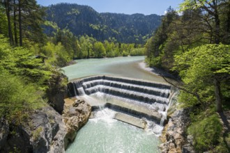 Lech Falls near Füssen, Ostallgäu district, Swabia, Bavaria, Germany, Europe