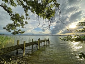 Evening atmosphere, shore area at Lake Starnberg, Bavaria, Germany, Europe