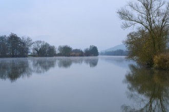 Quiet, misty landscape with a river, framed by trees and hills, Laudenbach, Main, Spessart,