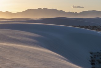 Smooth curved sand dunes in evening light at White Sands National Park in Alamogordo, New Mexico,