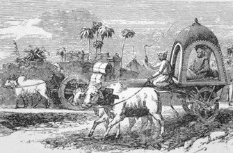 Cart drawn by oxen, Bombay, Mumbai, around 1870, India, digital reproduction of a historical model,