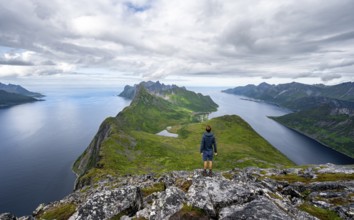 View of fjords Øyfjorden and Mefjorden, mountains on the headland of Fjordgård, view from the
