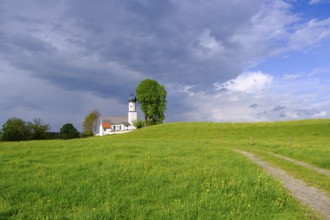 Oberbuchen, near Bad Heilbrunn, Upper Bavaria, Bavaria, Germany, Europe