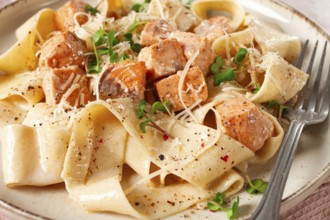 Tagliatelli pasta, with salmon slices and herbs, on a decorative plate, homemade, no people